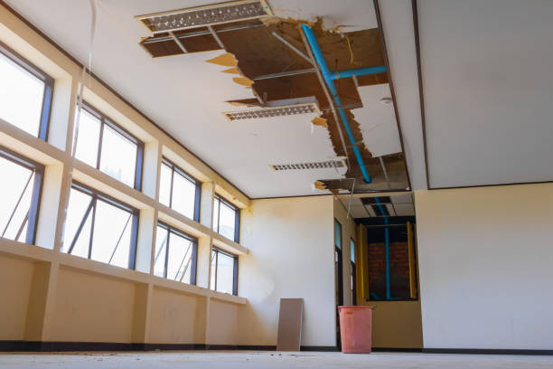  New Whiteland, IN Water damage restoration Pros