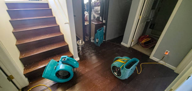 Best Flood damage cleanup  in New Whiteland, IN
