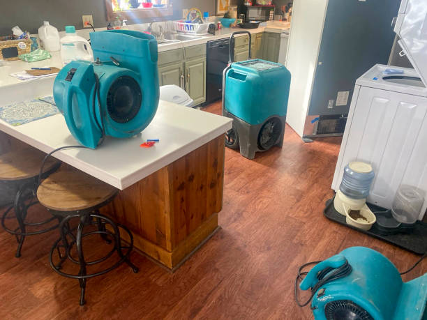 Best Water damage restoration experts  in New Whiteland, IN