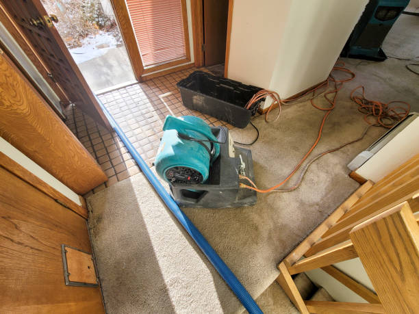 Best Carpet water damage restoration  in New Whiteland, IN
