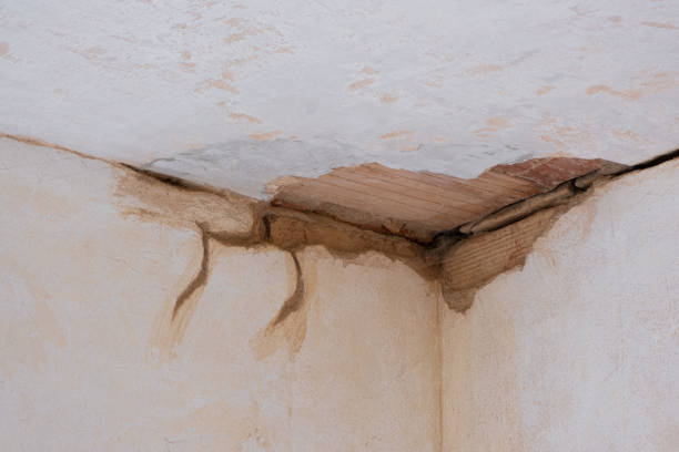 Best Local water damage restoration  in New Whiteland, IN