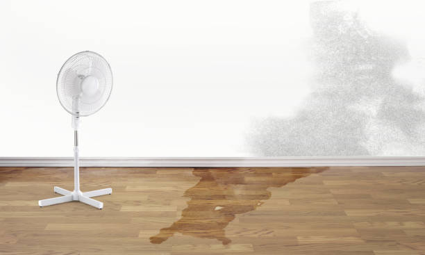 Trusted IN Water damage restoration Experts