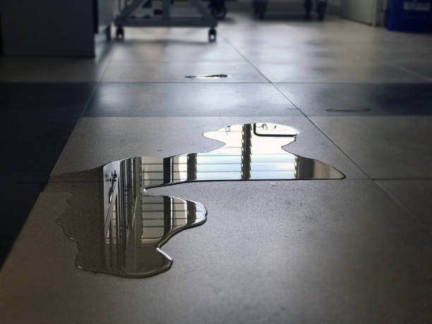 Reliable IN Water damage restoration Solutions