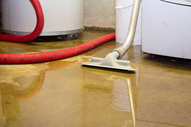 Best Ceiling water damage repair  in New Whiteland, IN