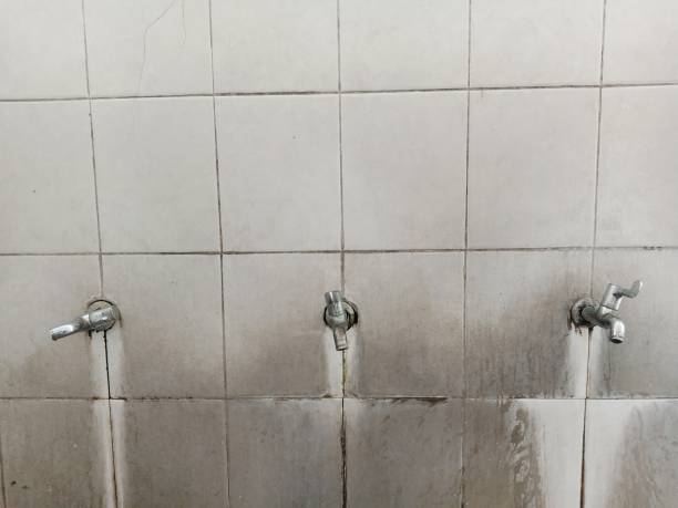 Best Water damage contractors near me  in New Whiteland, IN
