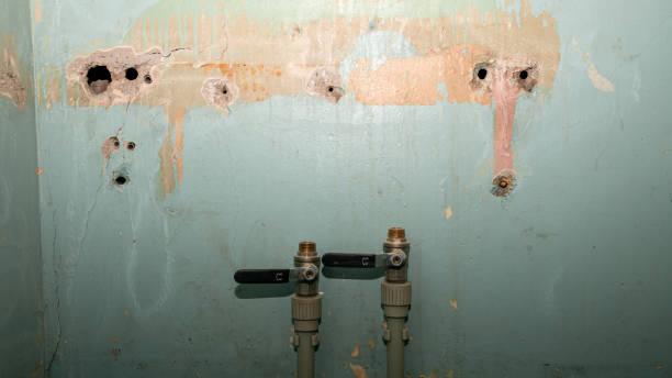 Best Sewage cleanup and water damage restoration  in New Whiteland, IN