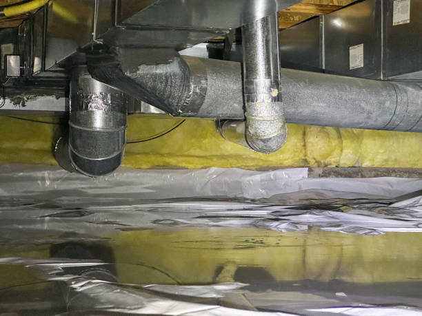 Best Water damage contractors near me  in New Whiteland, IN