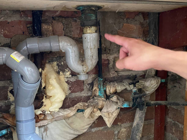 Best 24/7 water damage repair  in New Whiteland, IN